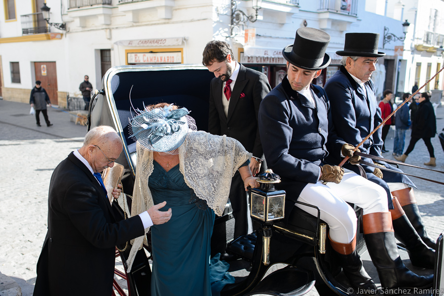 ascot carriages & white wedding horses